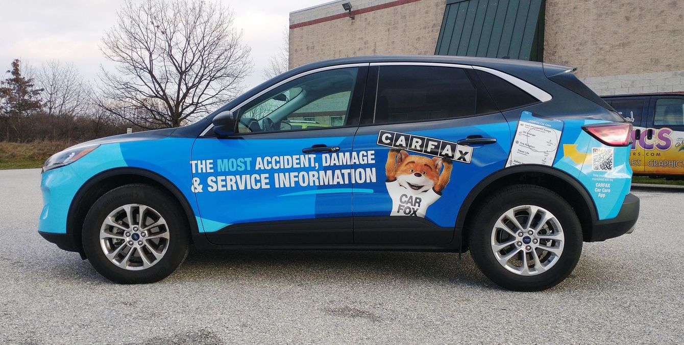 A blue car with a bear on the side is parked in a gravel lot.