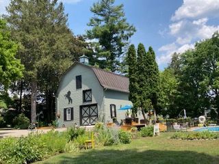 A light green two-story barn with a dark roof and a horse silhouette decal, set in a sunny backyard with a pool.