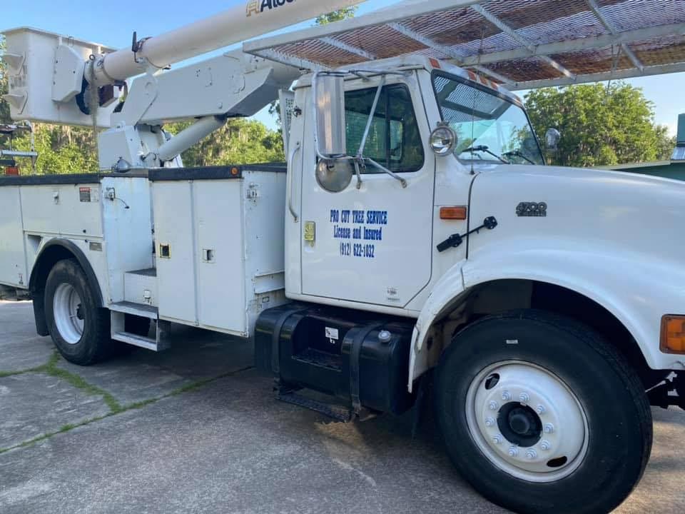 Pro Cut Tree Service Townsend's Best Tree Service