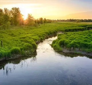 Stream Restoration and Improvements