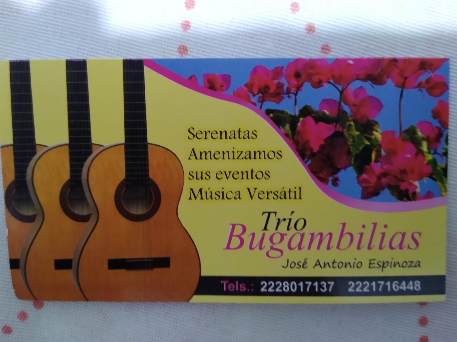 TRÍO BUGAMBILIAS