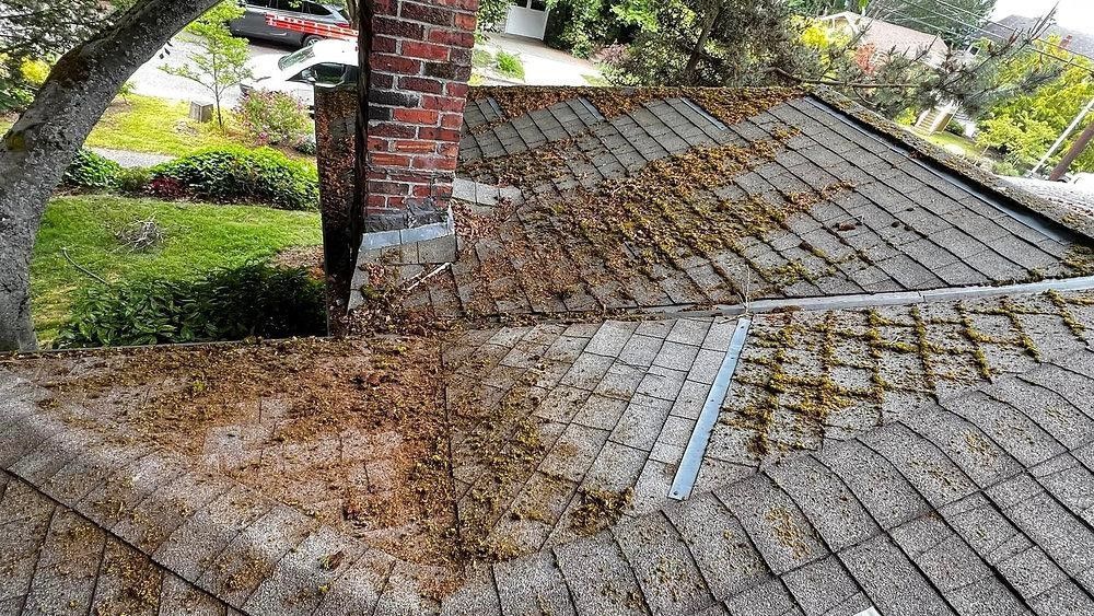 Gable roof with weathered gray shingles and moss beside a brick chimney, viewed from above.