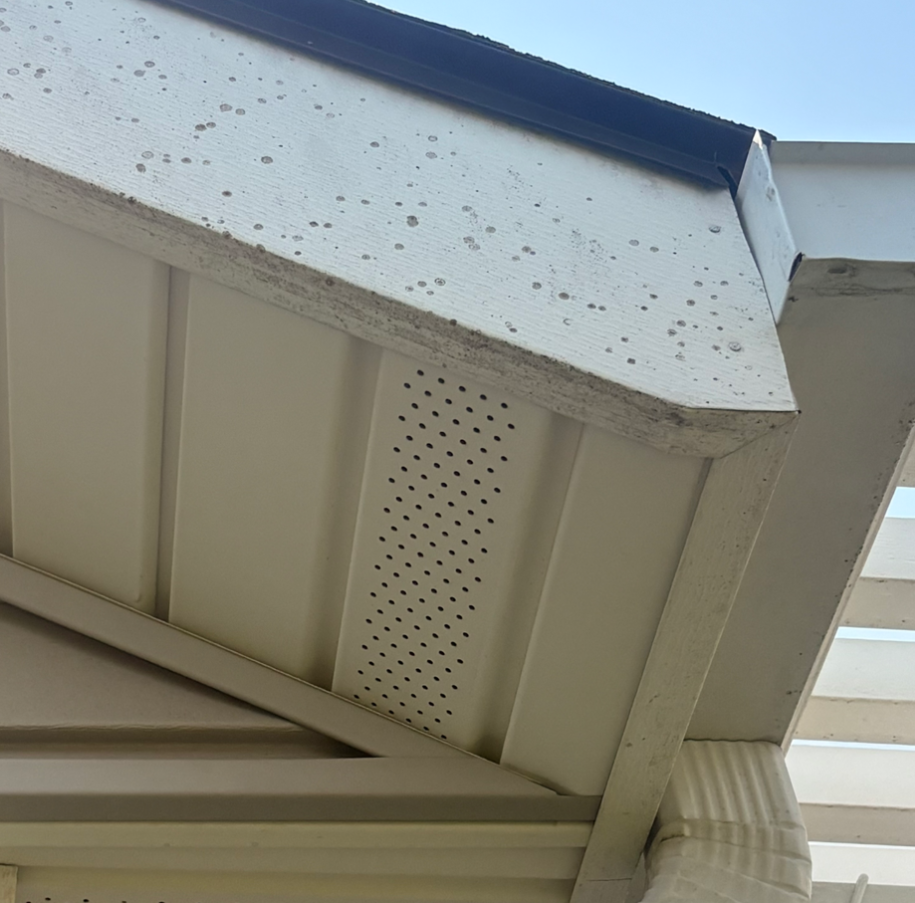 Underside of a white house roof eave with perforated soffit panels and blue trim against the sky