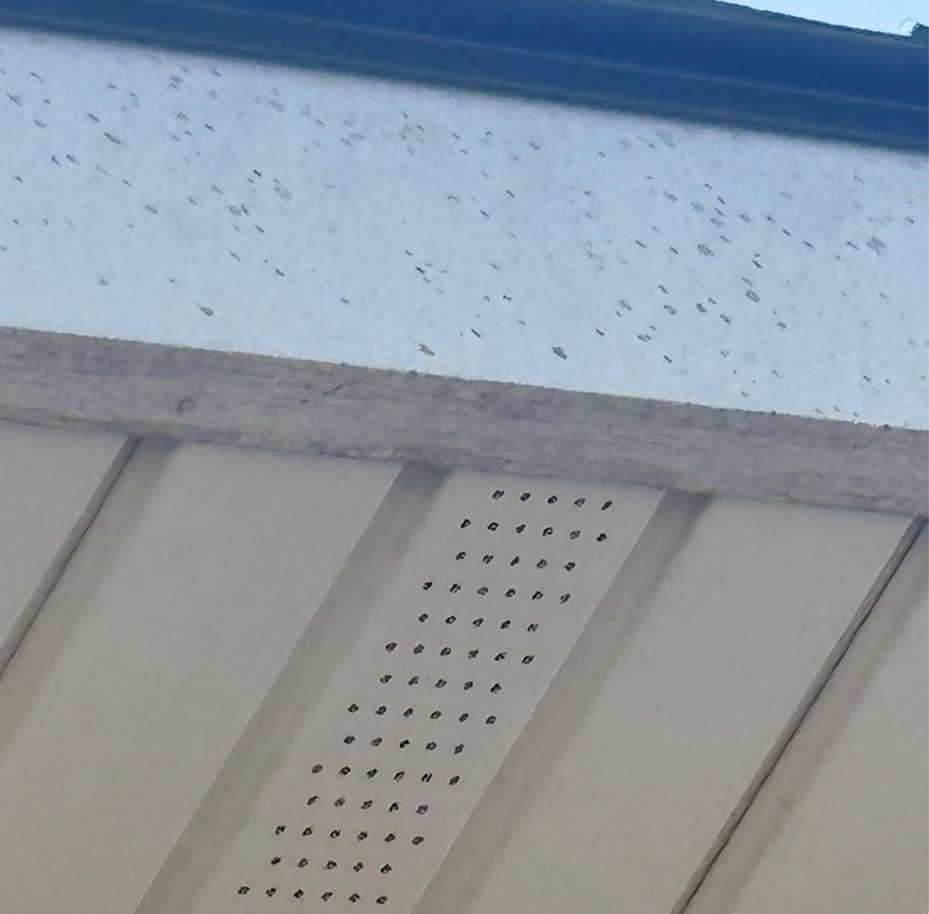 Close-up of a building eave with blue trim and a perforated metal vent panel underneath