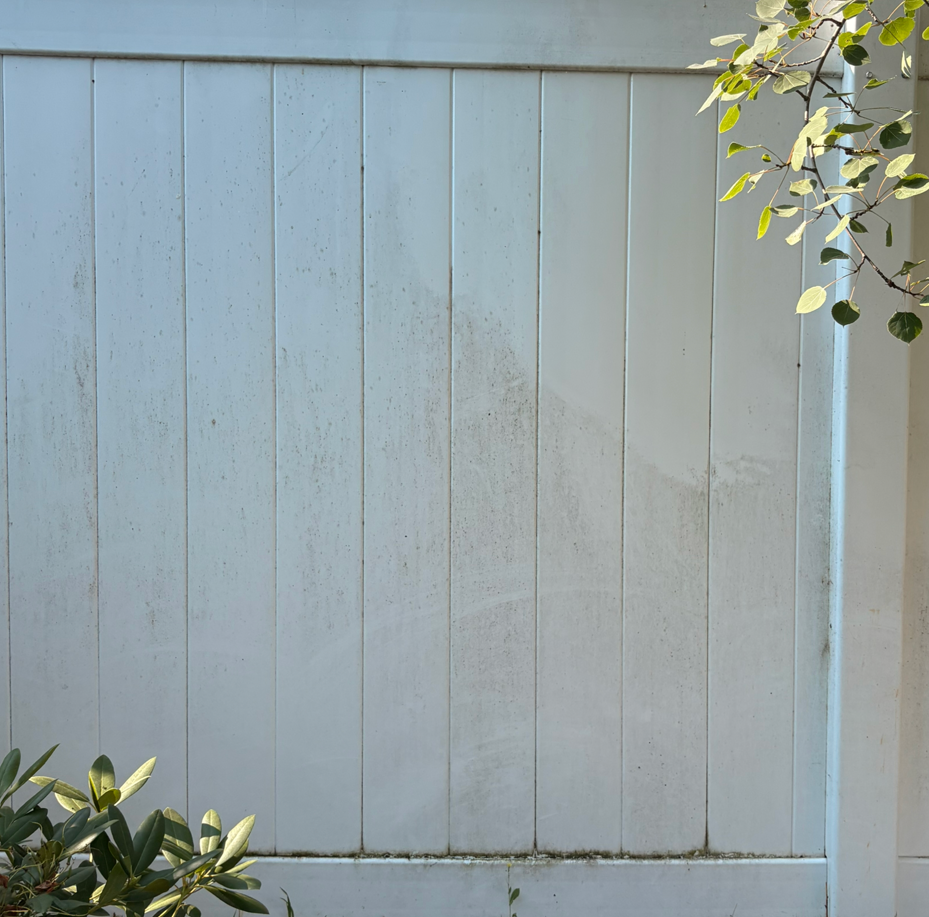 Light blue wooden fence with leafy branches at the corners in bright sunlight