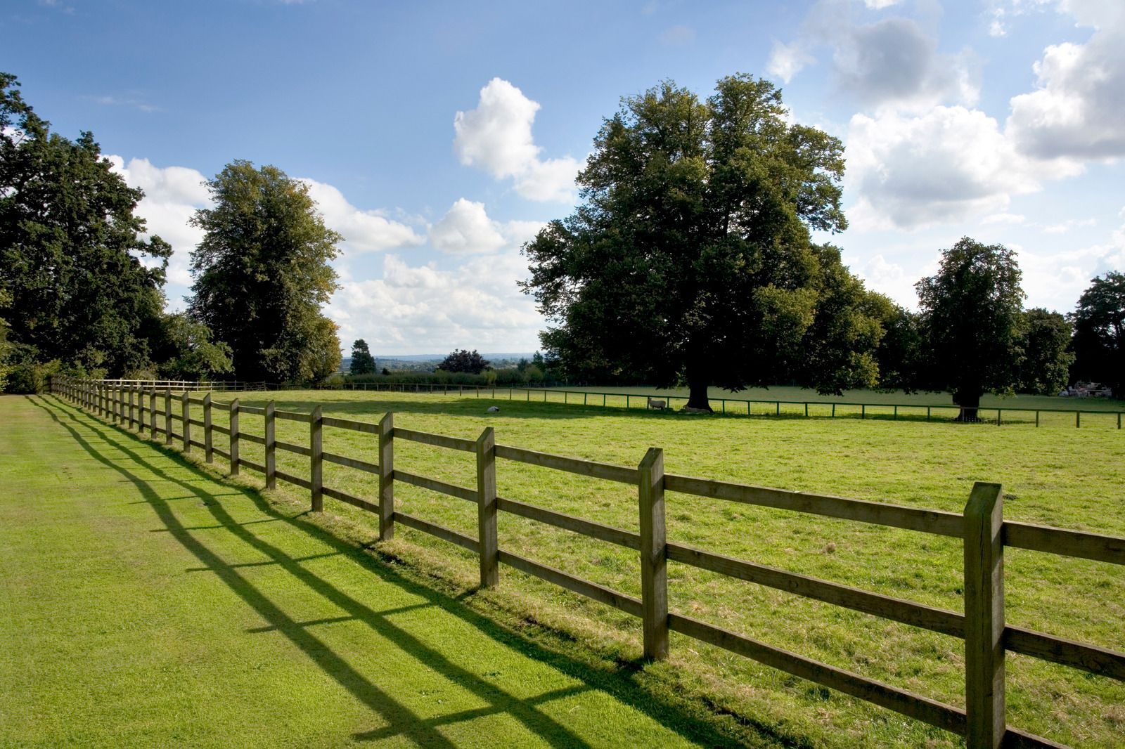 Wooden fence along a sunlit green field with trees and a blue sky with clouds.