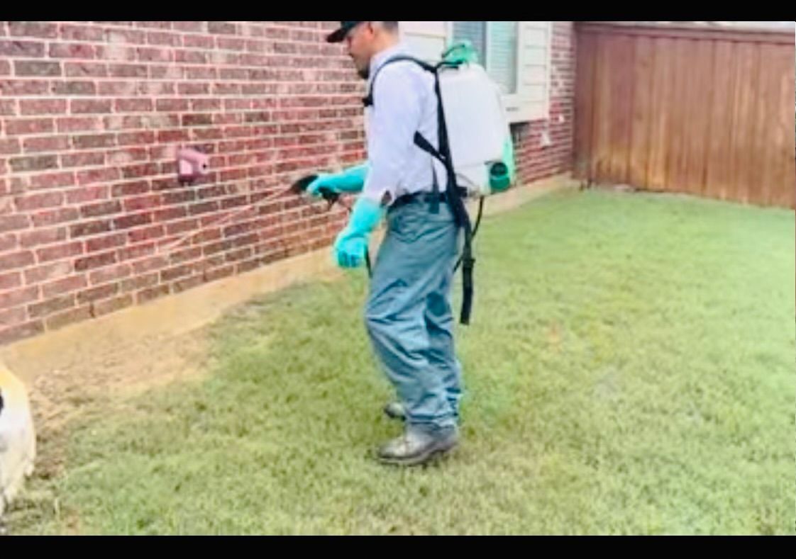 Gro Lawn technician applying lawn treatment to a residential lawn in Colleyville TX using grass-specific treatment methods