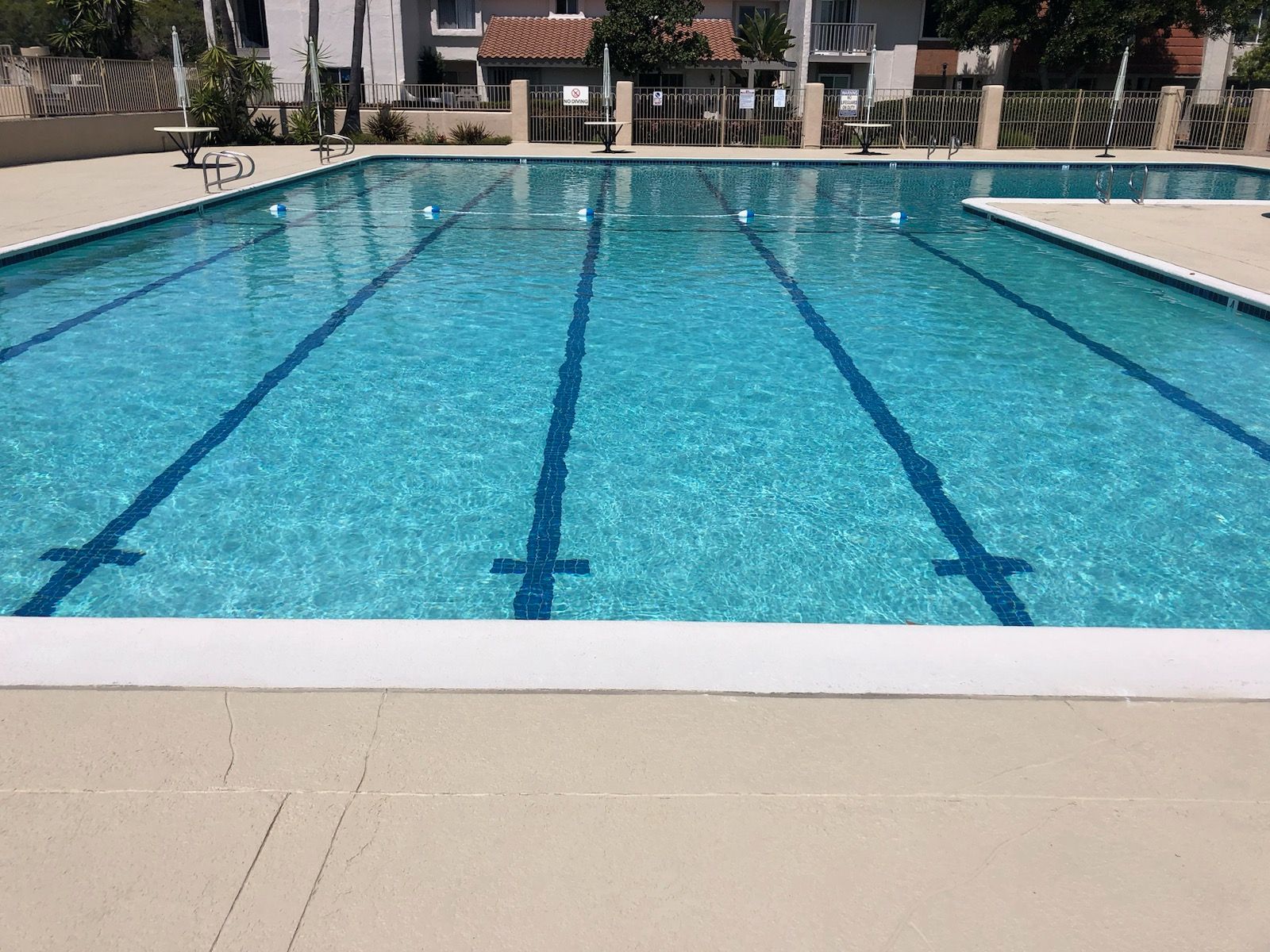 A large swimming pool with blue lanes and a white border.
