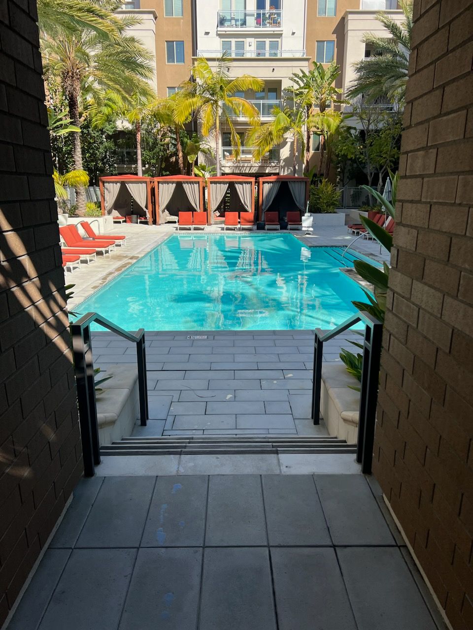 Stairs leading to a large swimming pool surrounded by palm trees