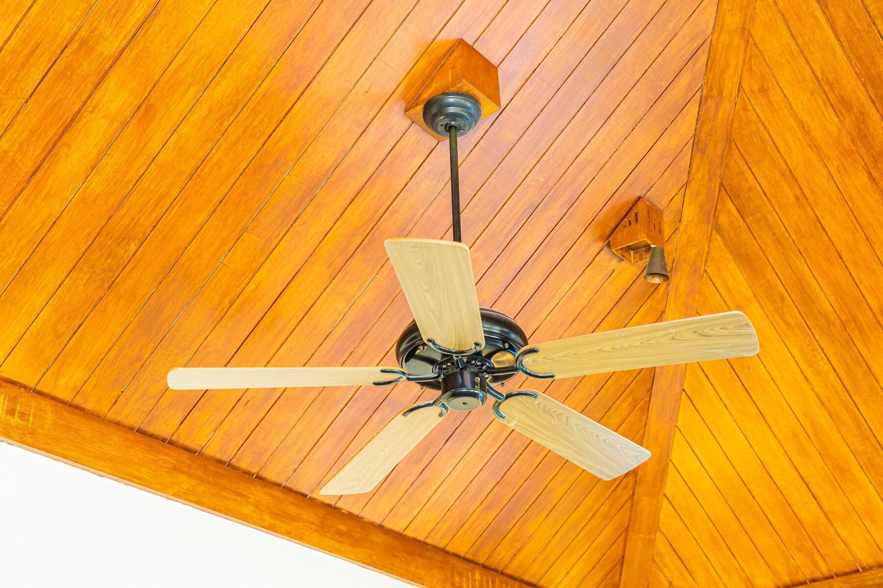Ceiling fan with light under a wood-paneled, orange-toned ceiling