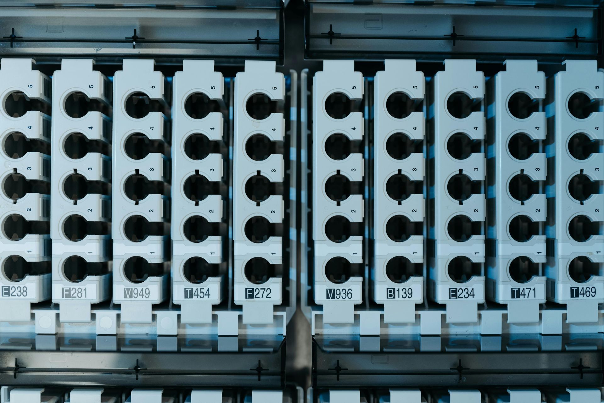 Close-up of a server rack filled with numerous connectors and ports, likely in a data center.