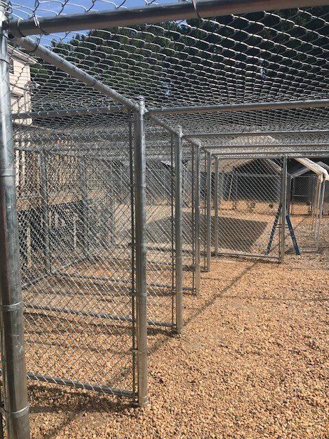 A chain link fence is surrounding a pile of wood chips