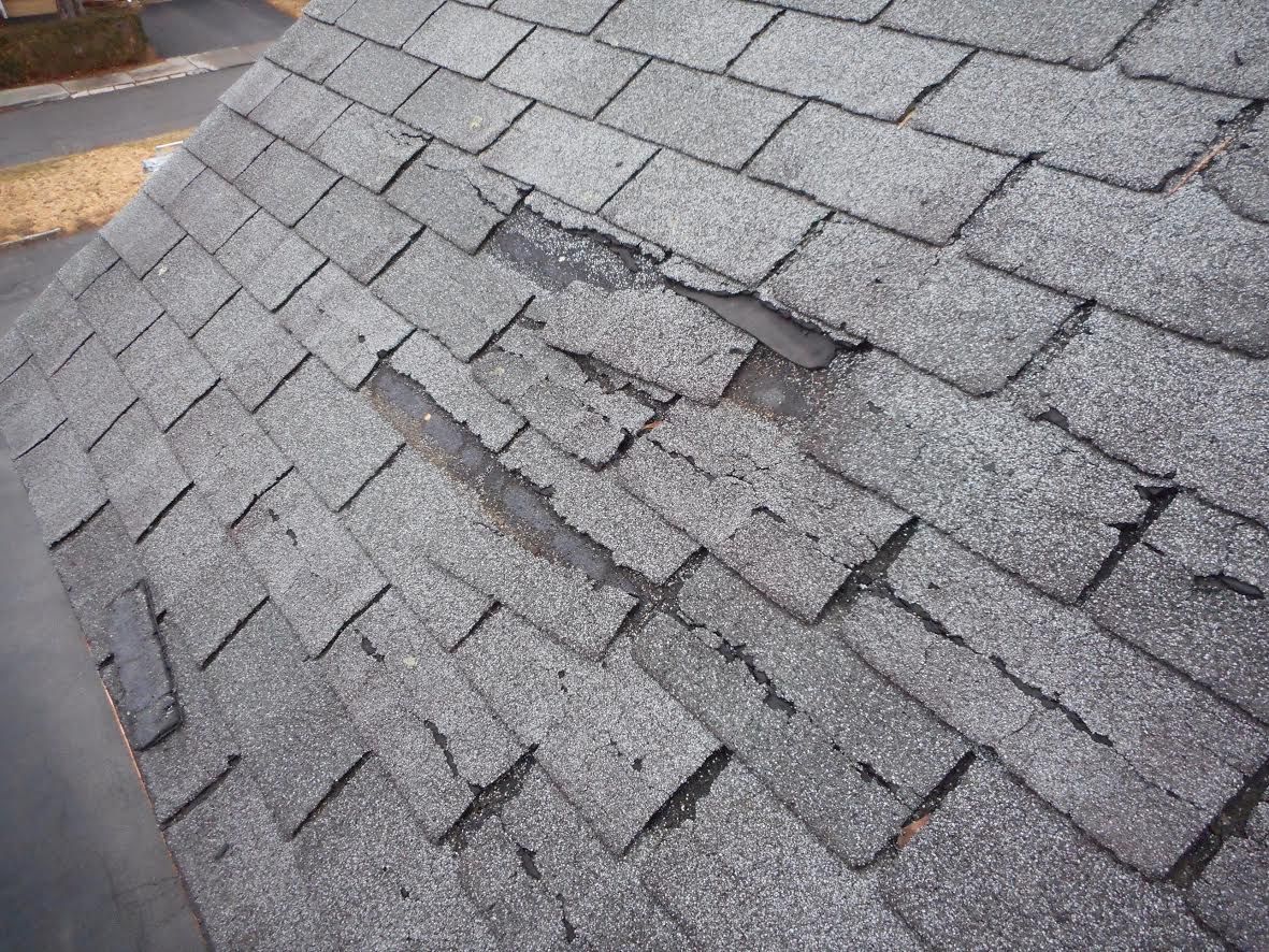 Navigating Roofing Warranties: What Every Homeowner Should Know From Their Roofer