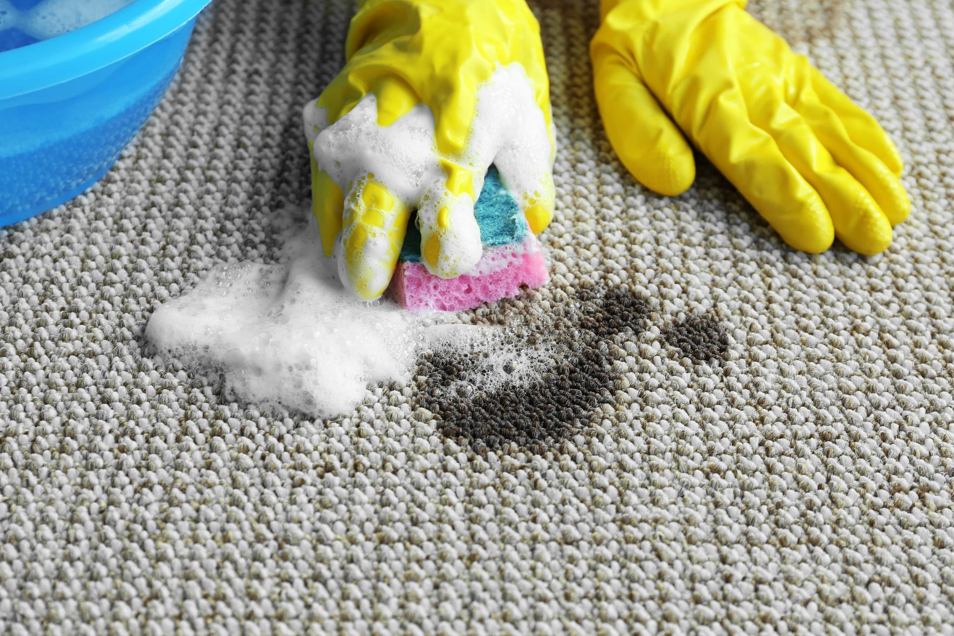 A person wearing yellow gloves is cleaning a carpet with a sponge.