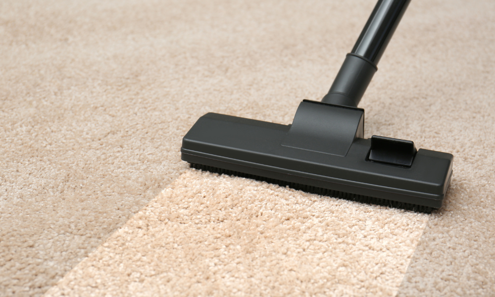 Carpet Being Cleaned in East Brunswick Carpet Being Cleaned in East Brunswick