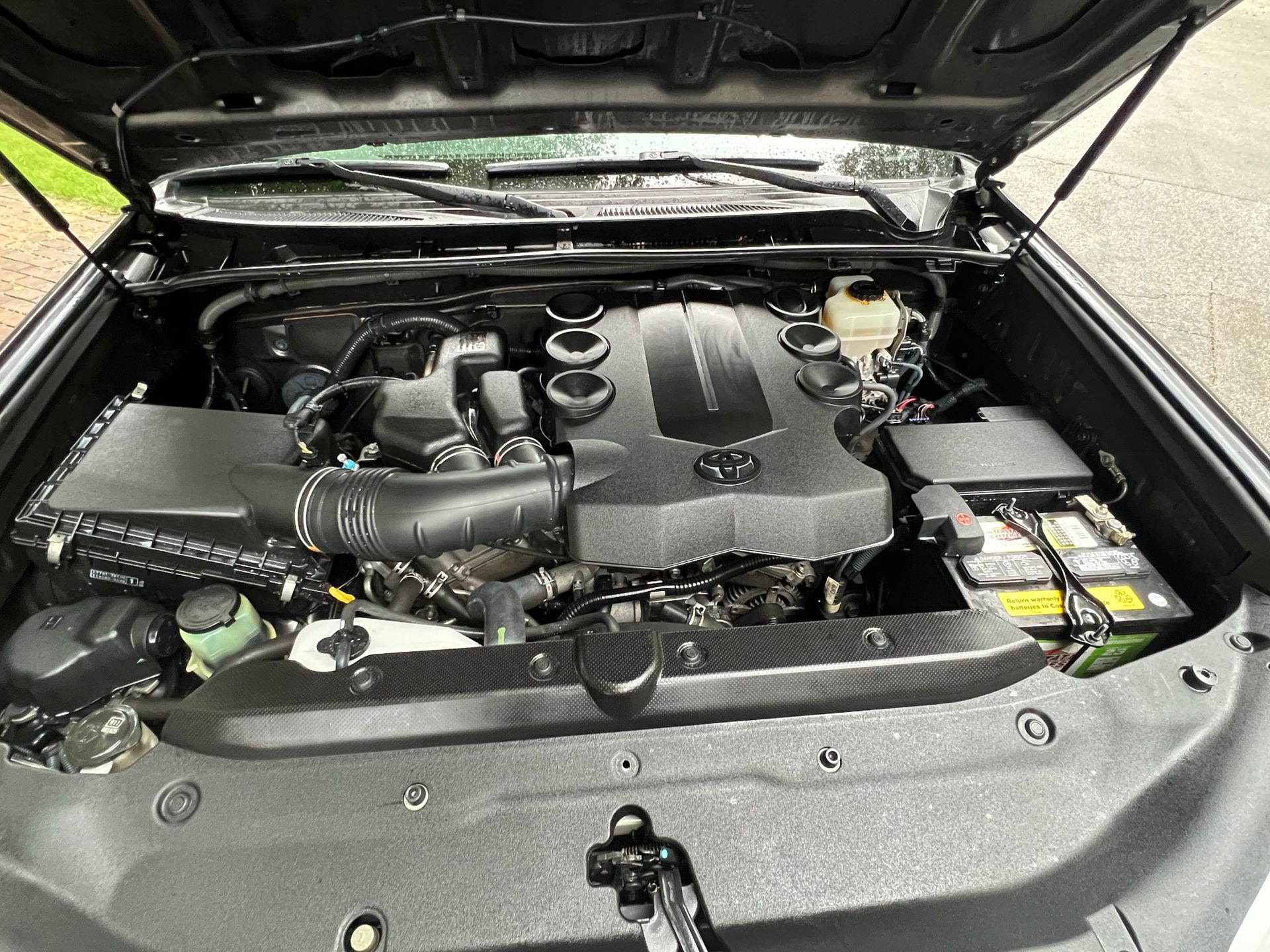 After Detailed - Engine Bay