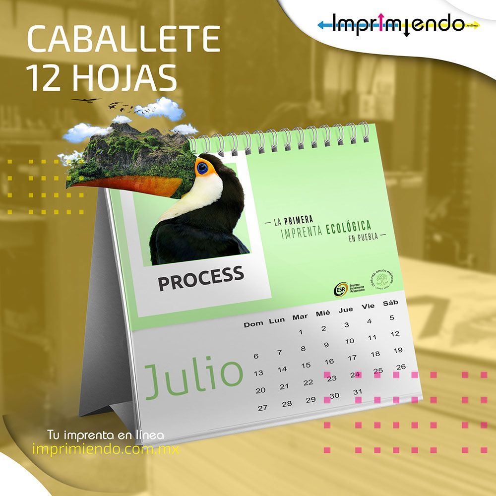 IMPRIMIENDO
