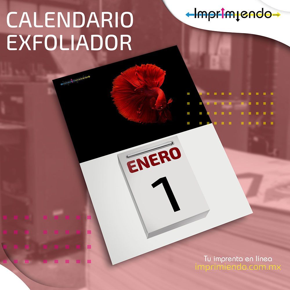 IMPRIMIENDO