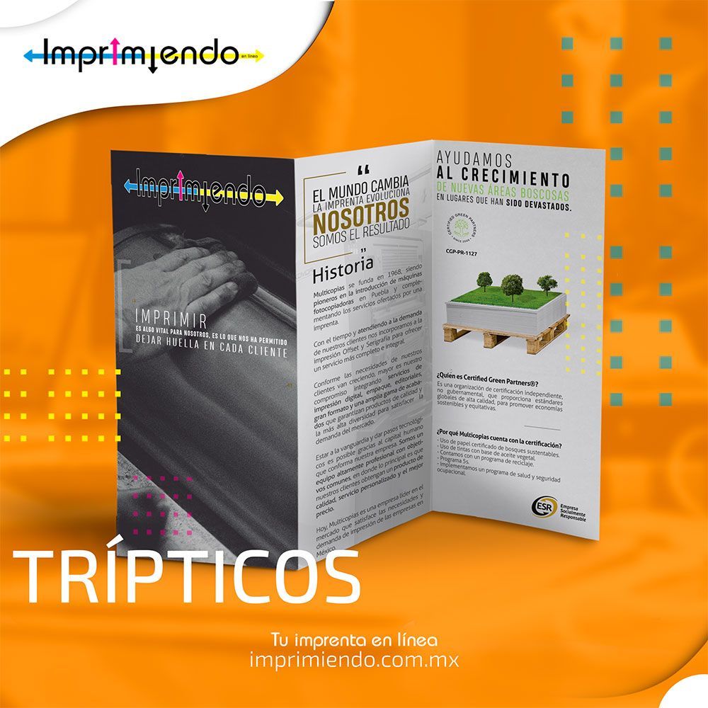 IMPRIMIENDO