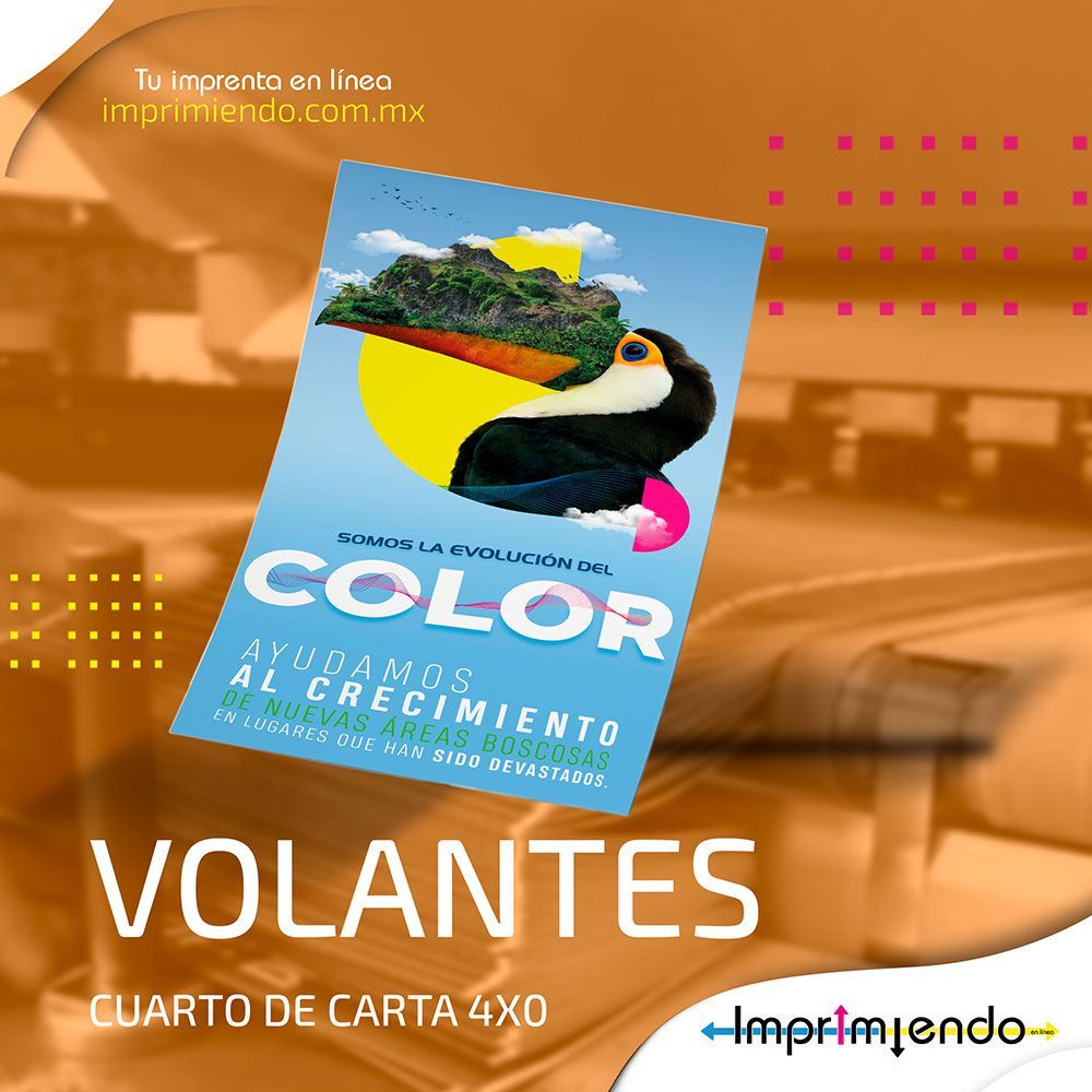 IMPRIMIENDO