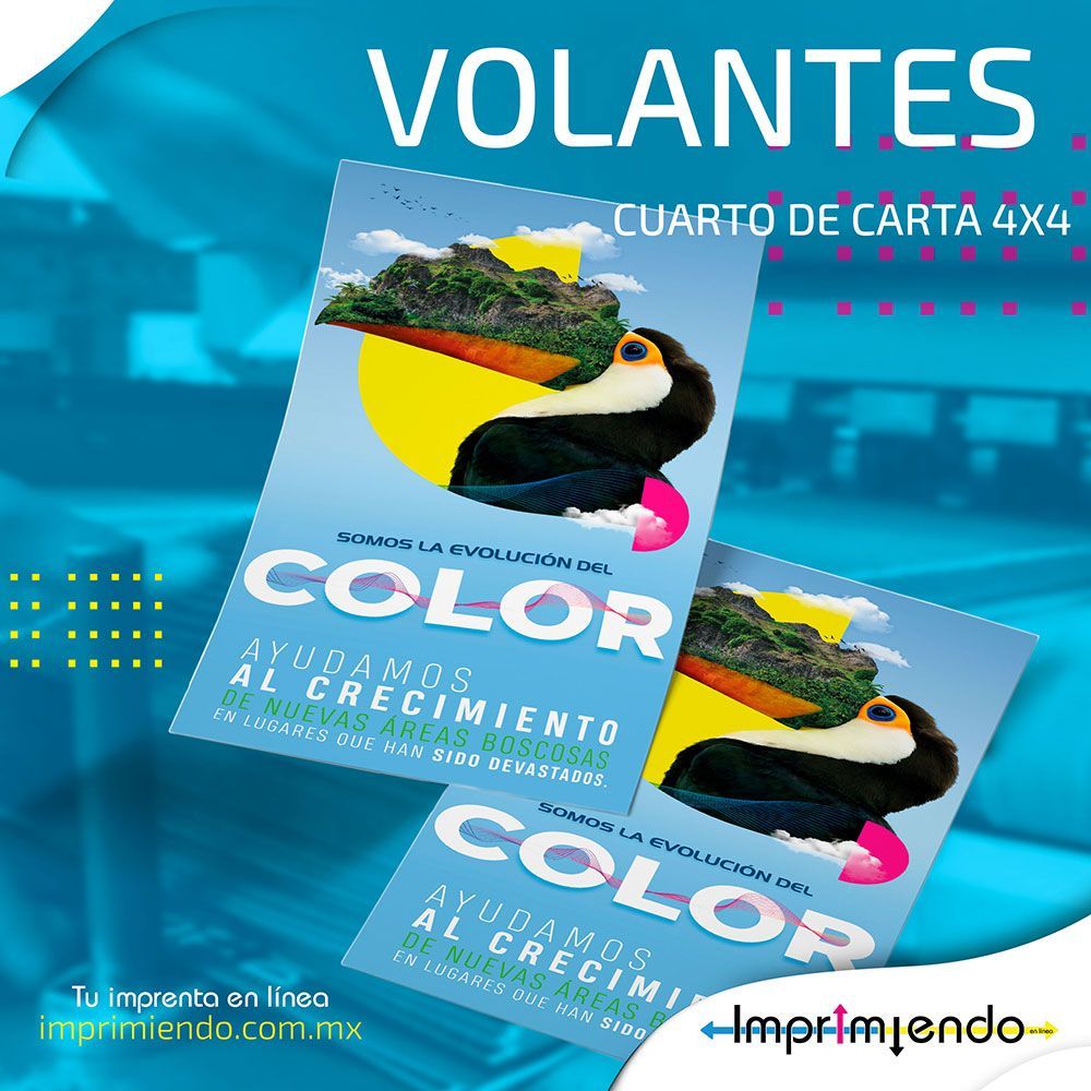 IMPRIMIENDO