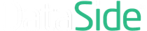 DataSide reversed logo