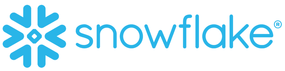 Snowflake logo with blue snowflake icon and wordmark