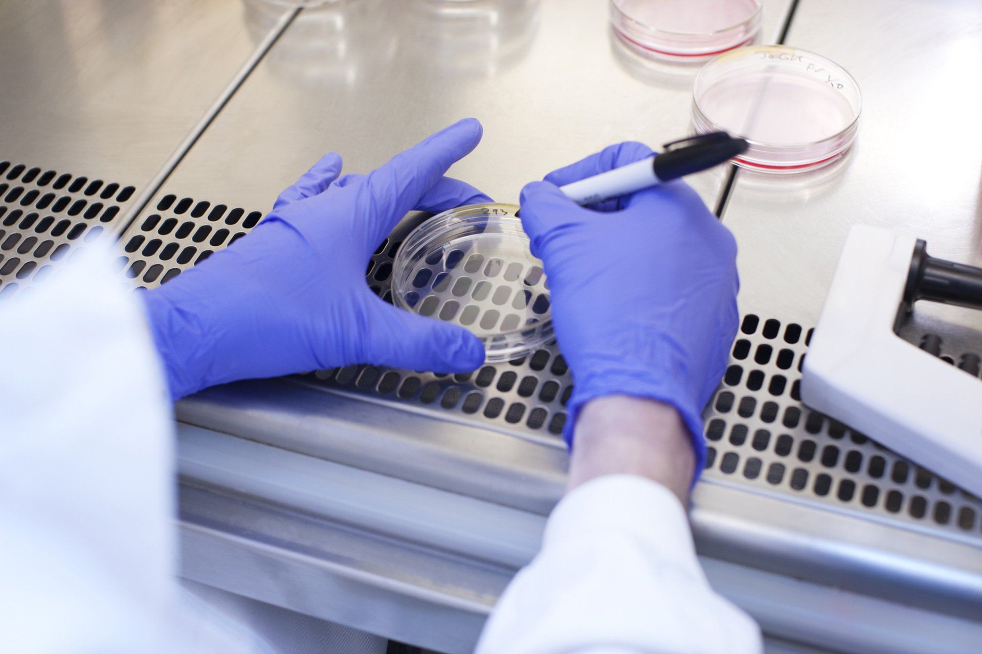 LABORATORIO ANALISI