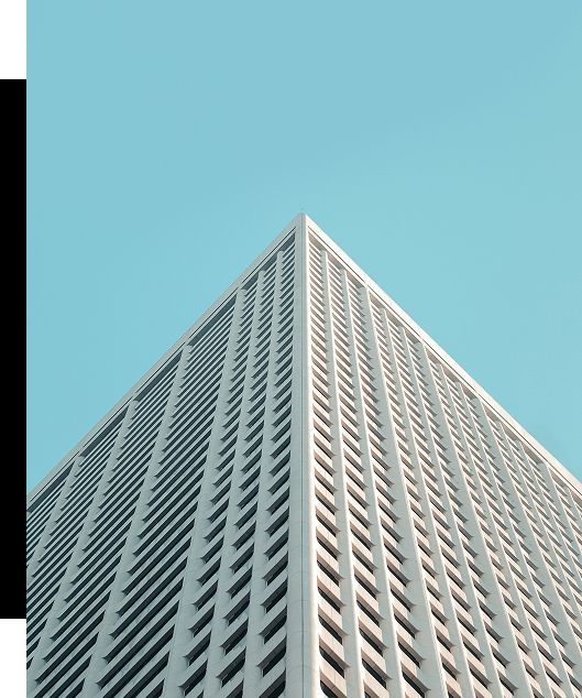 Contact Dizon & Co
