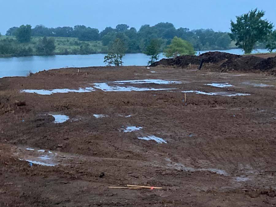 Muddy, water-filled dirt area near a body of water with trees in the background. Overcast sky.