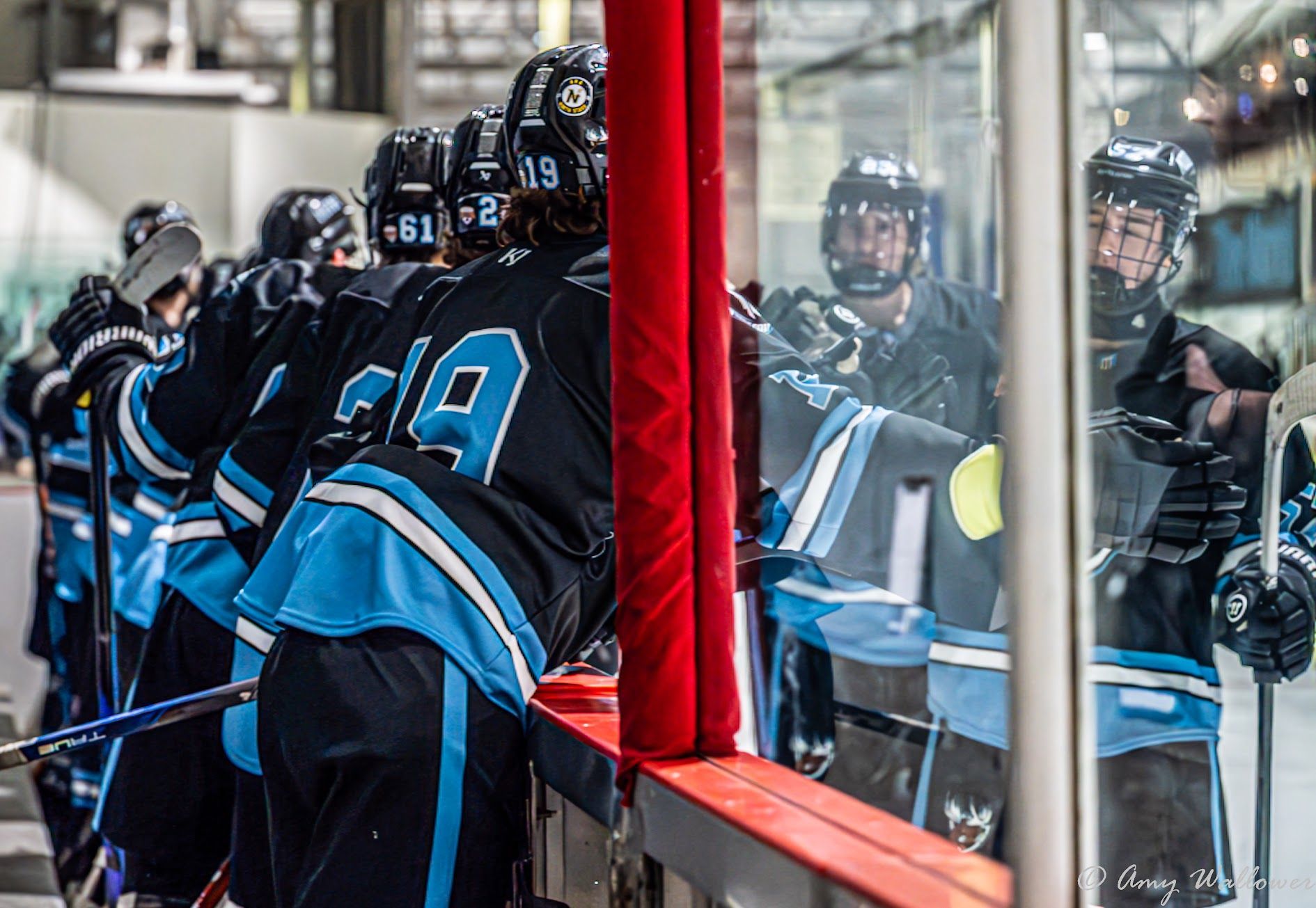 Rocky Mountain Moose players celebrating a goal