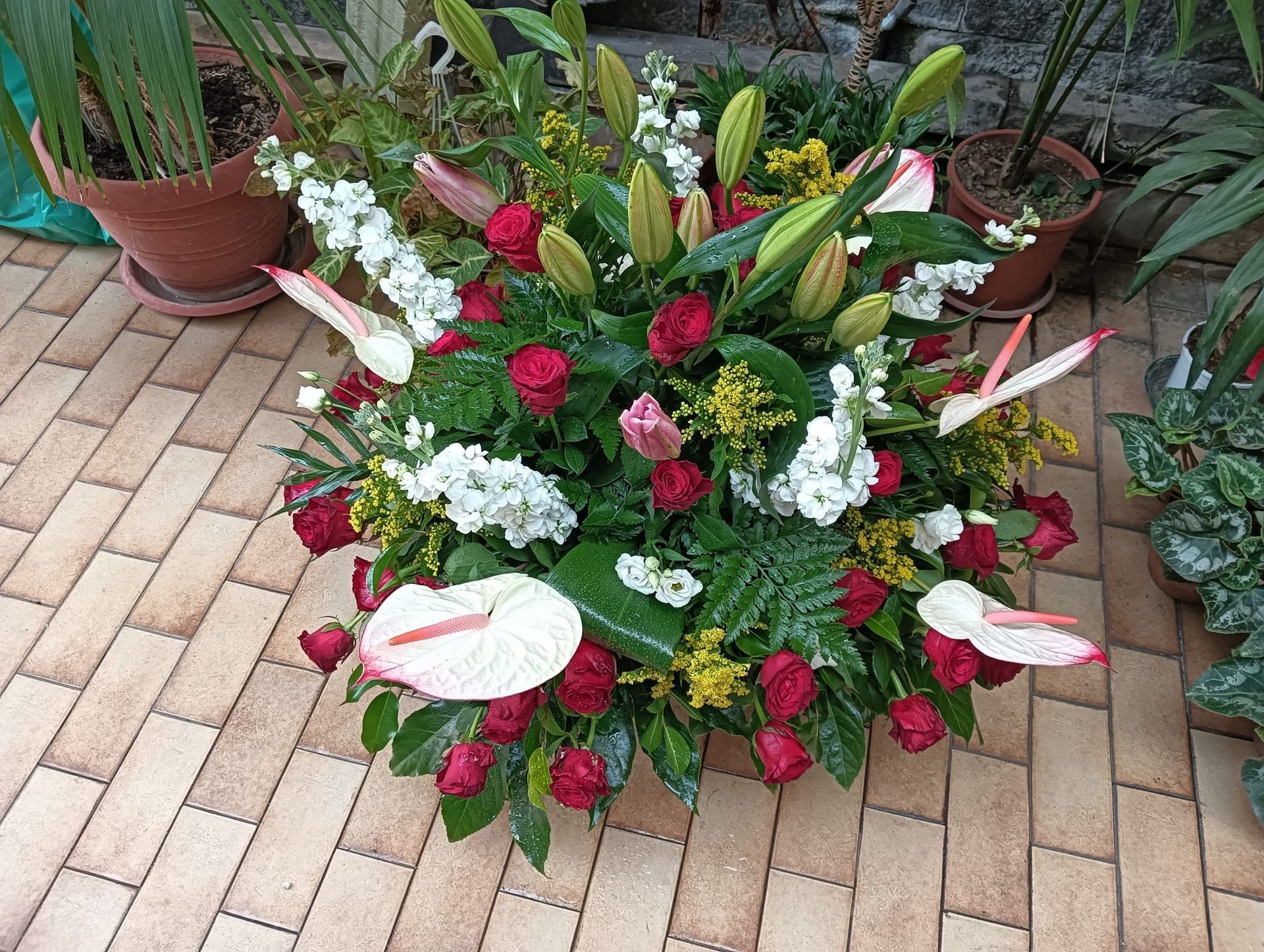 fiori freschi