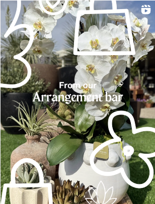 White orchid arrangement from an arrangement bar, in a white pot with other succulents.