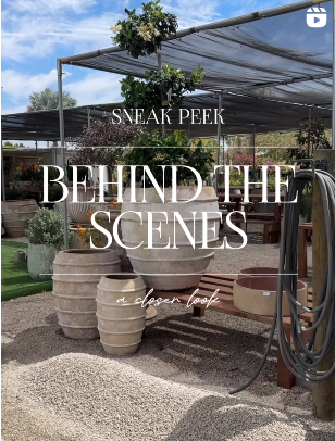 Sneak peek of a behind-the-scenes look at a nursery. Large stone pots on gravel, under a shaded structure.