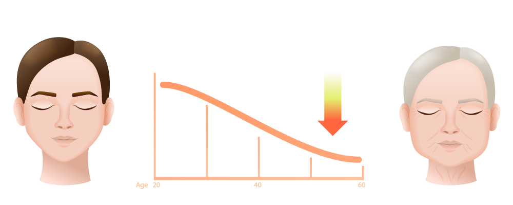 膠原蛋白流失
