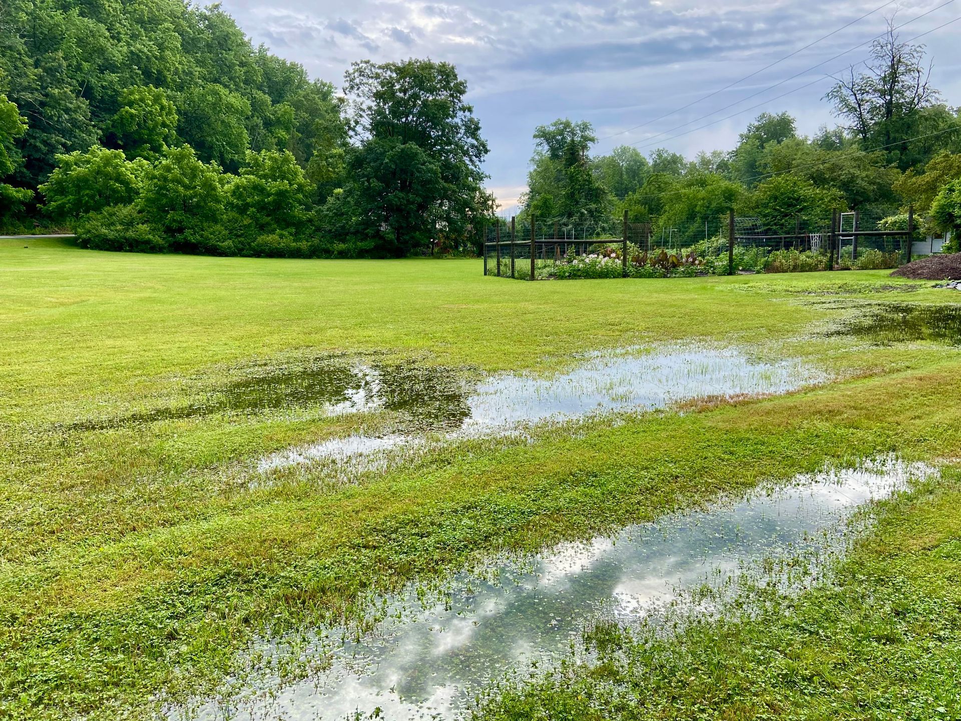 A lush green field with a puddle of water in the middle of it.