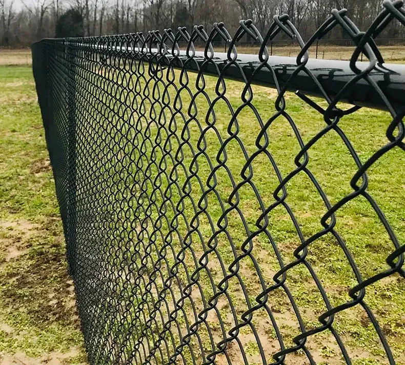 Black chain-link fence beside a grassy roadside under overcast skies