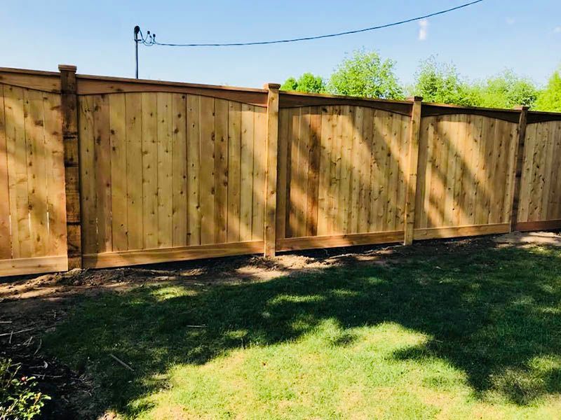 Wooden privacy fence with sunlit grass and trees in a backyard