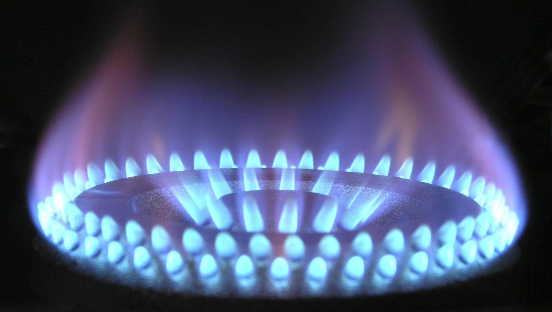 A close-up of a gas stove burner with a ring of blue flames.