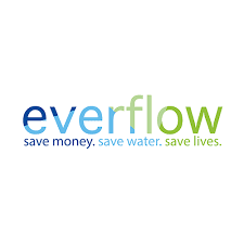 Logo for Everflow: Text in blue and green reads 
