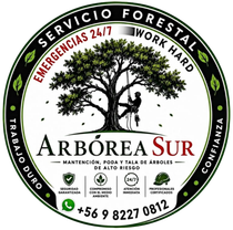 Logotipo circular de Servicio Forestal Arbórea Sur, con un árbol, texto verde y negro, y el teléfono +56 9 8227 0812