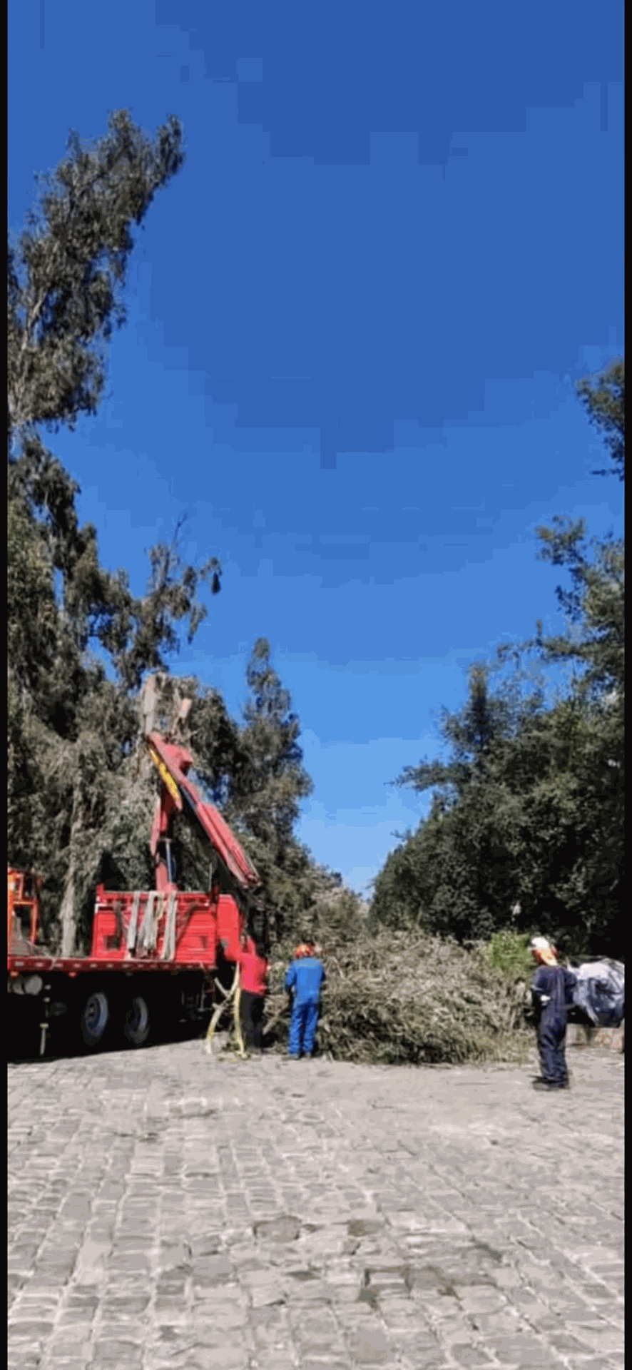 Grúa roja levantando escombros en un camino de piedra, con trabajadores cerca bajo un cielo azul.
