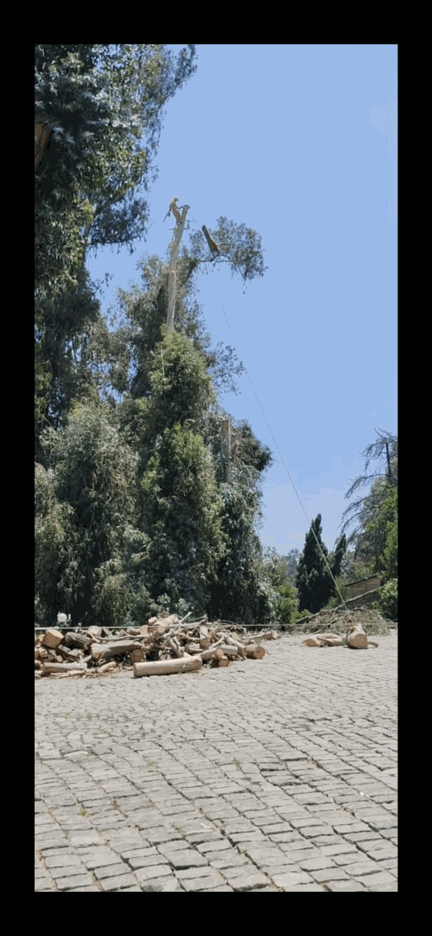 Sendero de piedra flanqueado por árboles altos bajo un cielo azul despejado, con escombros dispersos a un lado