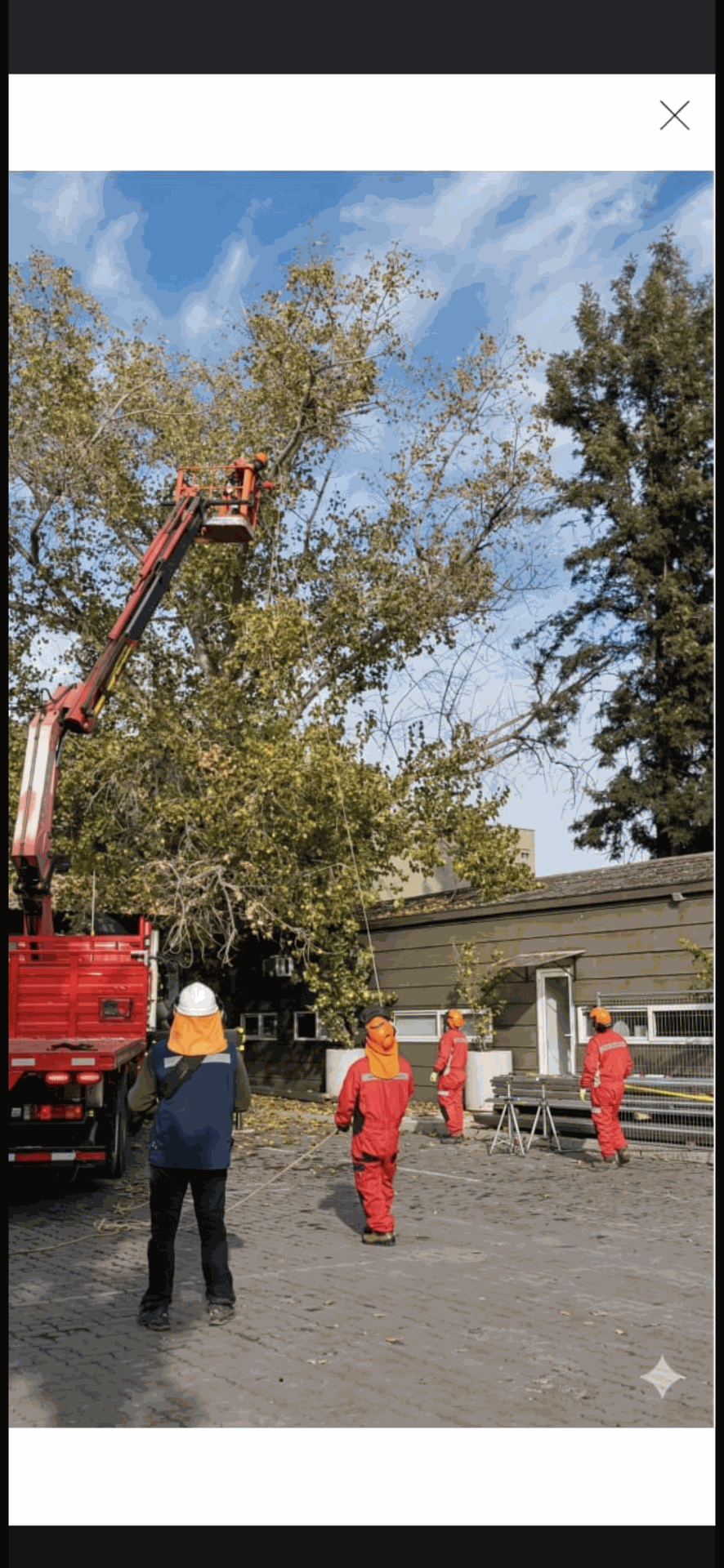 Trabajadores y una plataforma elevadora podando árboles altos junto a un edificio y un camión estacionado