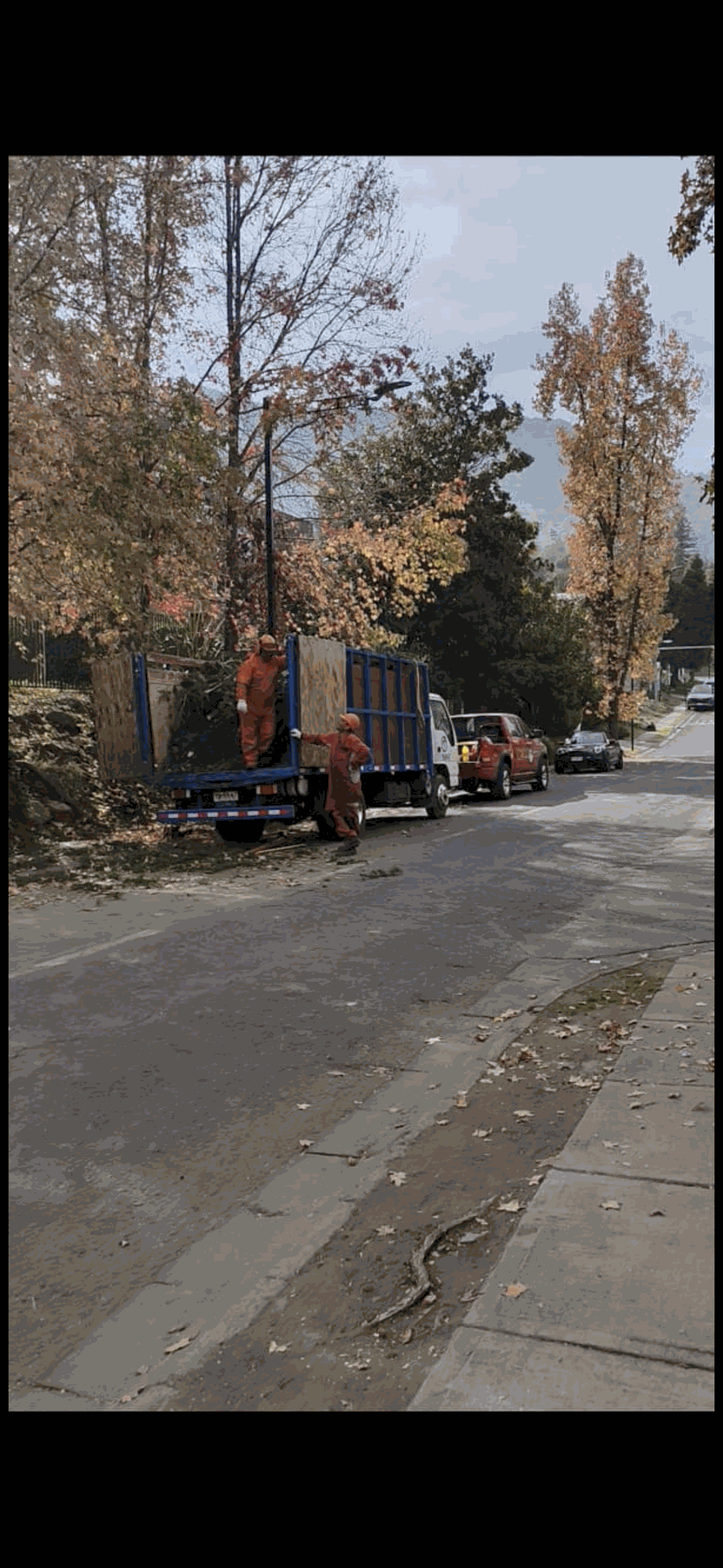 Camiones y coches aparcados en una calle arbolada cubierta de hojas caídas en otoño