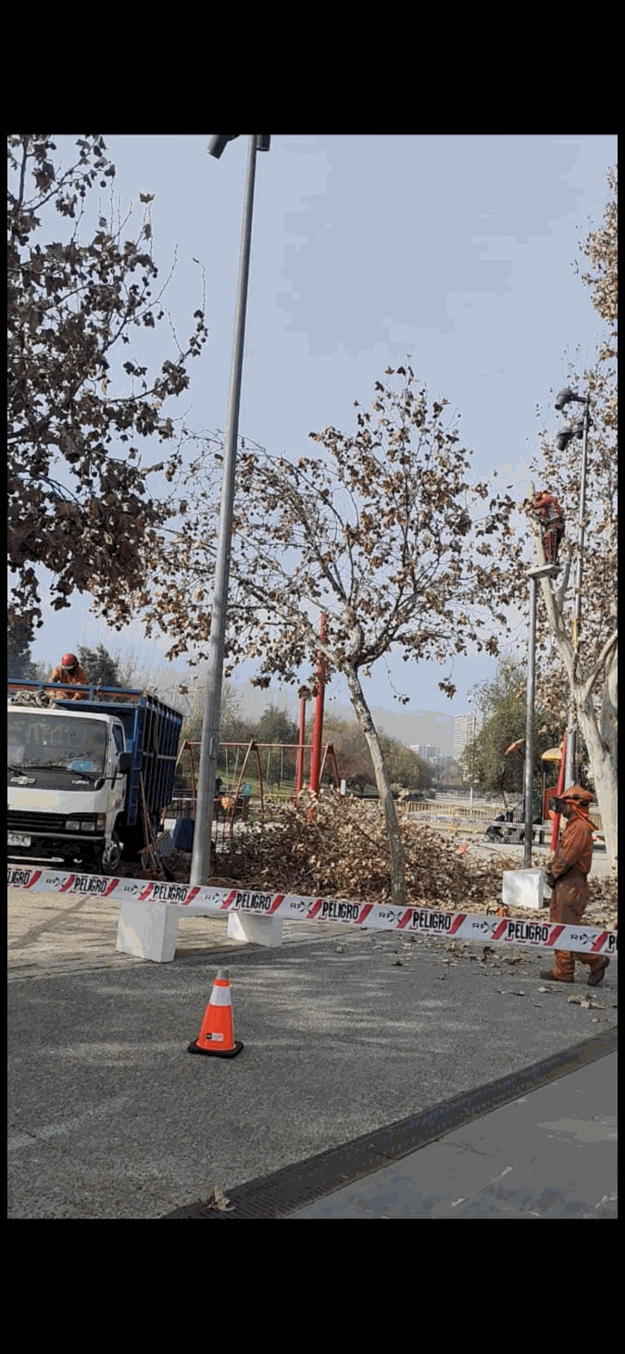 Una carretera cortada con una barrera, conos naranjas y árboles a los lados.
