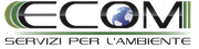 Logo ECOM