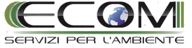 Logo ECOM