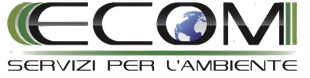 Logo ECOM