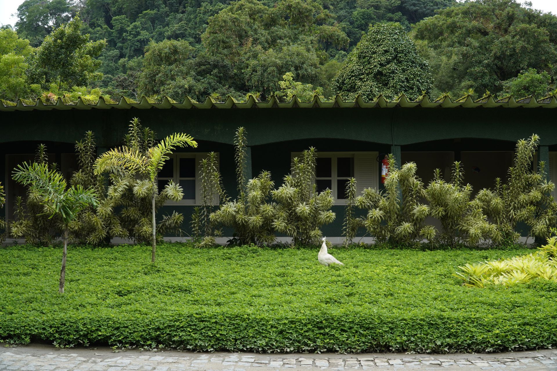 Natureza - Hotel do Bosque